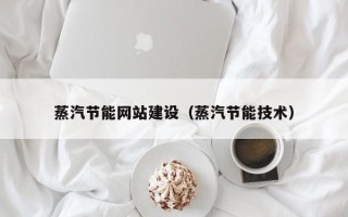 青海蒸汽节能网站建设（蒸汽节能技术）